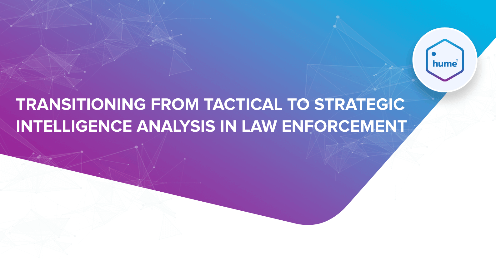 HUME: Transitioning from Tactical to Strategic Intelligence Analysis in Law Enforcement