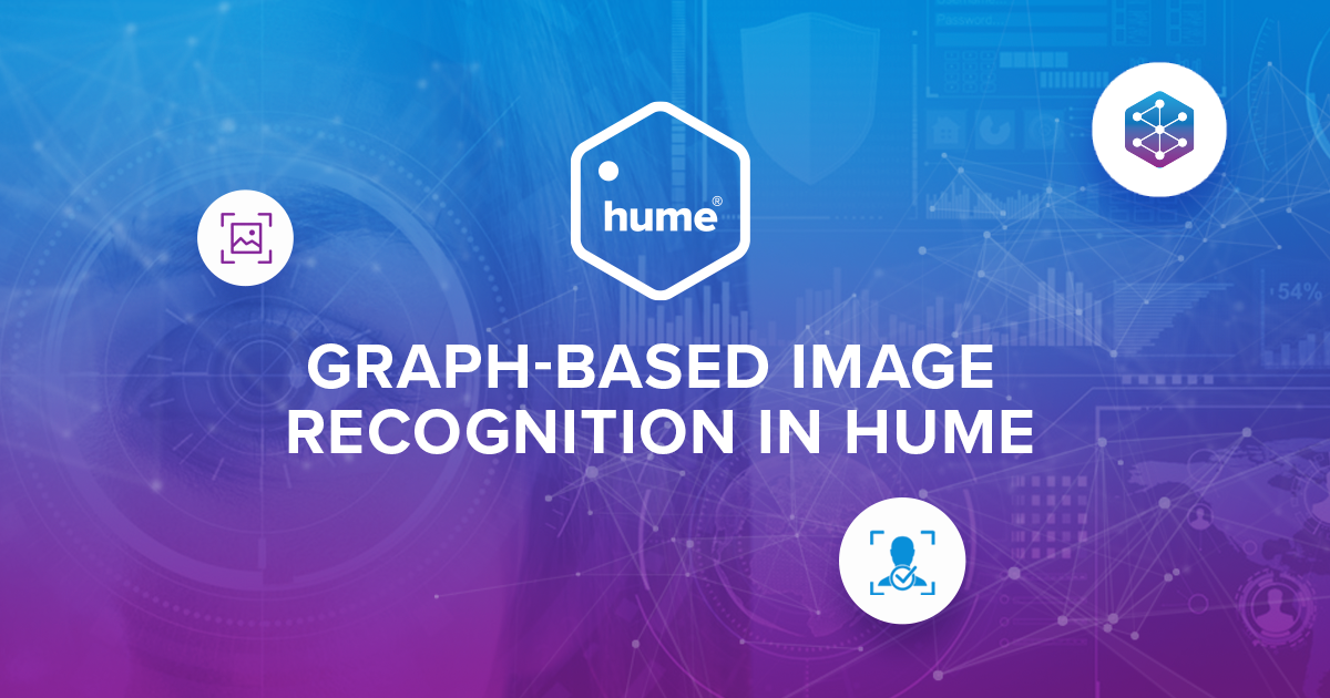 Graph-based image recognition in Hume