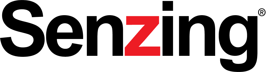 Senzing entity resolution