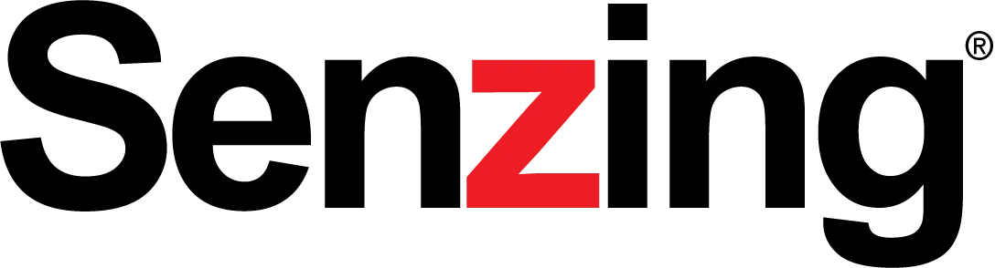 Senzing entity resolution